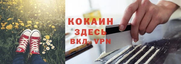 ПСИЛОЦИБИНОВЫЕ ГРИБЫ Абаза