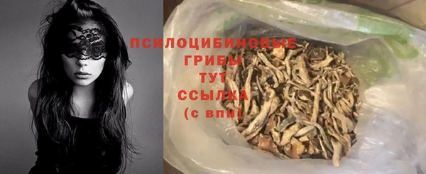 ПСИЛОЦИБИНОВЫЕ ГРИБЫ Абаза