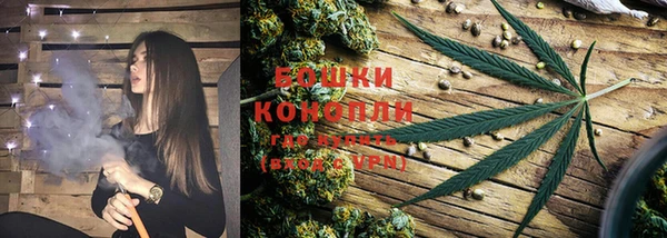 ПСИЛОЦИБИНОВЫЕ ГРИБЫ Абаза