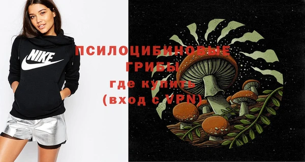 ПСИЛОЦИБИНОВЫЕ ГРИБЫ Абаза