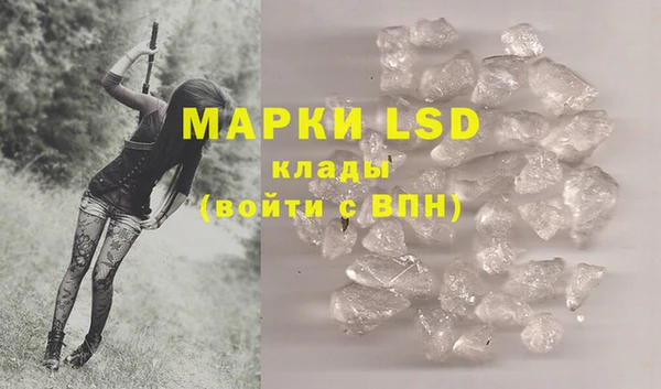 ПСИЛОЦИБИНОВЫЕ ГРИБЫ Абаза